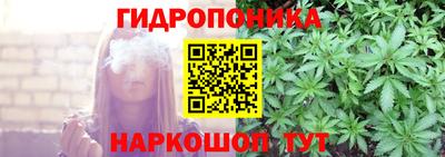 прущие грибы Краснознаменск