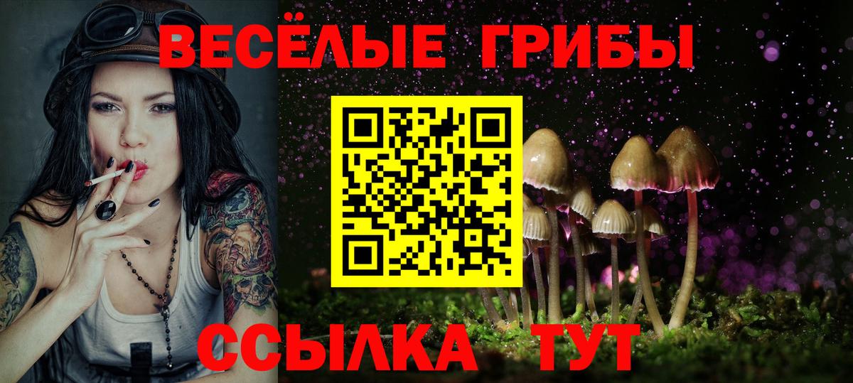 Калининград  Галлюциногенные грибы MAGIC MUSHROOMS  Галлюциногенные грибы MAGIC MUSHROOMS  Вход с VPN 