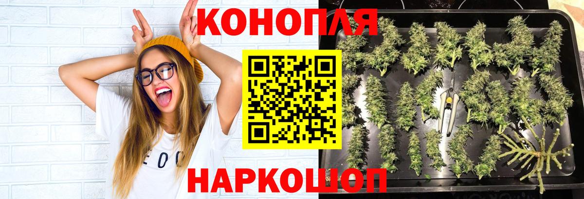Бошки Шишки планчик  Каннабис LSD WEED  Калининград  Вход с VPN 